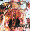 Disgorge (MEX)- Chronic Corpora Infest CD on American Line Produ